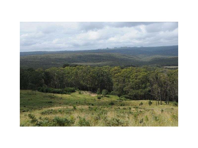 Lot 5 Mt Ashby Road, Moss Vale NSW 2577