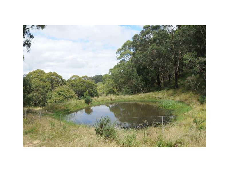 Lot 5 Mt Ashby Road, Moss Vale NSW 2577