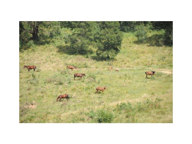 Lot 5 Mt Ashby Road, Moss Vale NSW 2577