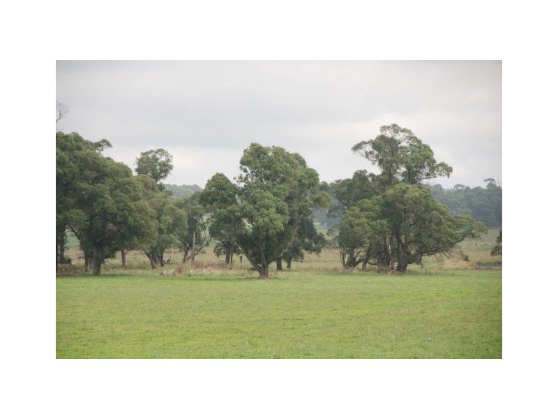 Lot 5 Sheepwash Road, Avoca NSW 2577