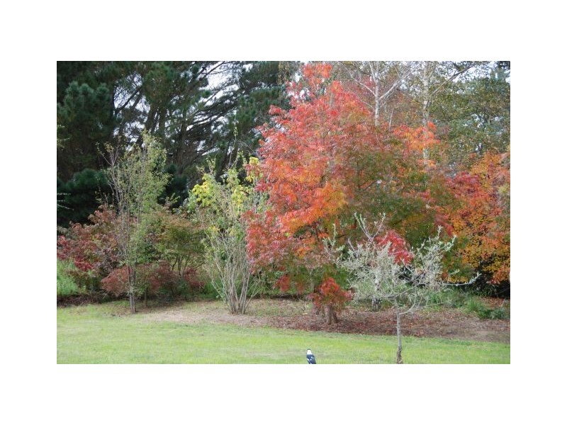 9 Bedford Place, Burradoo NSW 2576