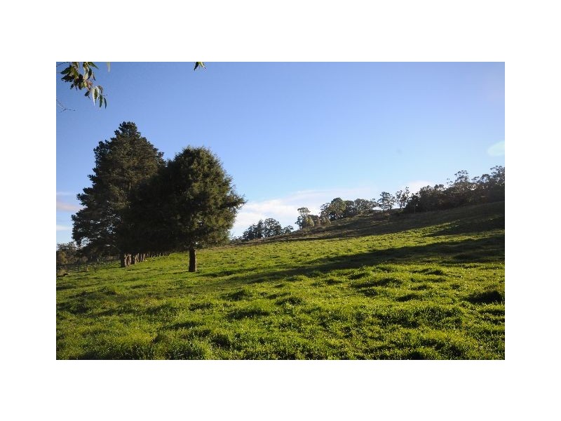 61 Wildes MeadoW Road, Wildes Meadow NSW 2577