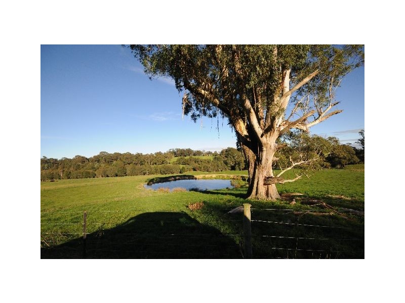 61 Wildes MeadoW Road, Wildes Meadow NSW 2577