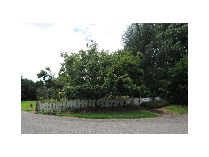 61 Wildes MeadoW Road, Wildes Meadow NSW 2577