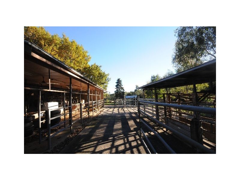 61 Wildes MeadoW Road, Wildes Meadow NSW 2577