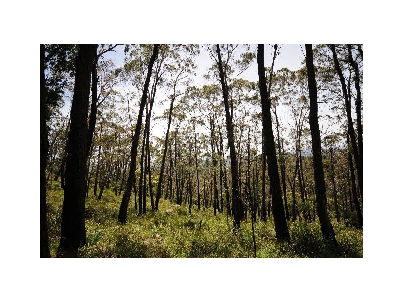 Lot 62 and 63 King Street, Bowral NSW 2576