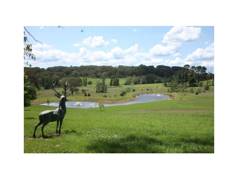 Dalway Horderns Road, Bowral NSW 2576