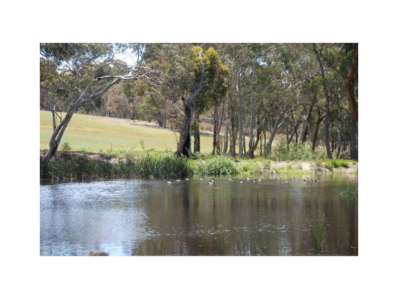 648 Joadja Road, Joadja NSW 2575