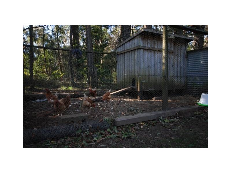 1221 Nowra Road, Fitzroy Falls NSW 2577