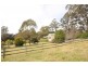 1051 Old Hume Highway, Alpine NSW 2575