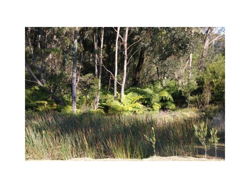 987 Belmore Falls Road, Wildes Meadow NSW 2577