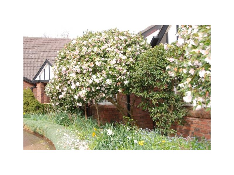 13 Werrington Street, Burradoo NSW 2576