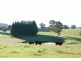 Glenquarry NSW 2576