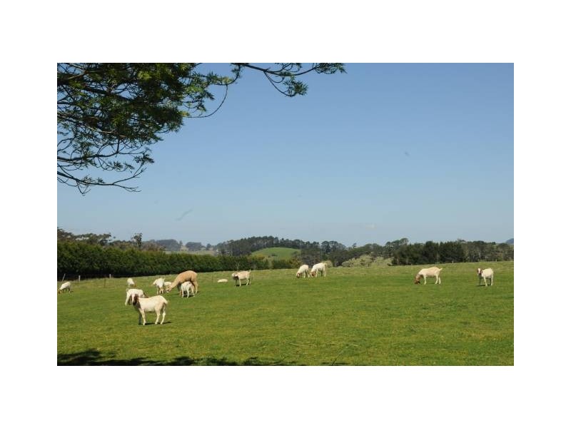 1004 Range Road, Glenquarry NSW 2576