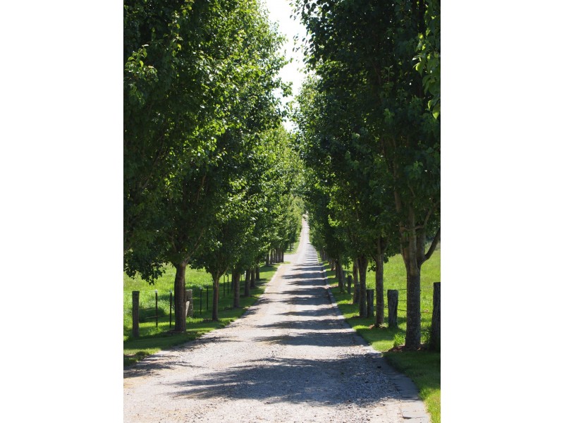 866 Sheepwash Road, Avoca NSW 2577