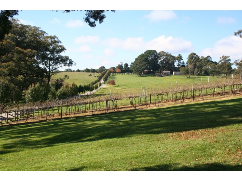 866 Sheepwash Road, Avoca NSW 2577