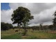 77 Joadja Crescent, Bowral NSW 2576