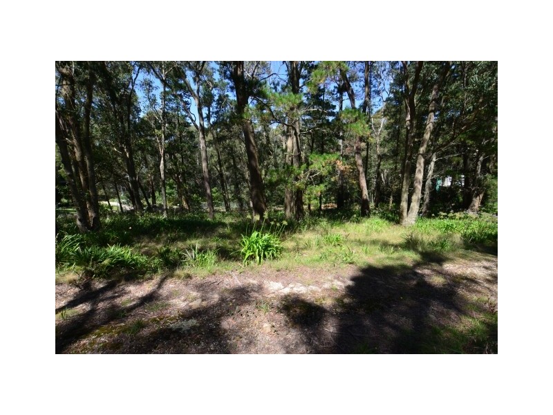 6 Earl Street, Bowral NSW 2576