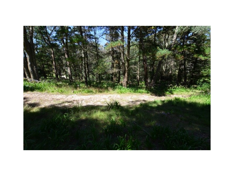 6 Earl Street, Bowral NSW 2576