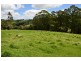 149 Belmore Falls Road (off South Street), Robertson NSW 2577