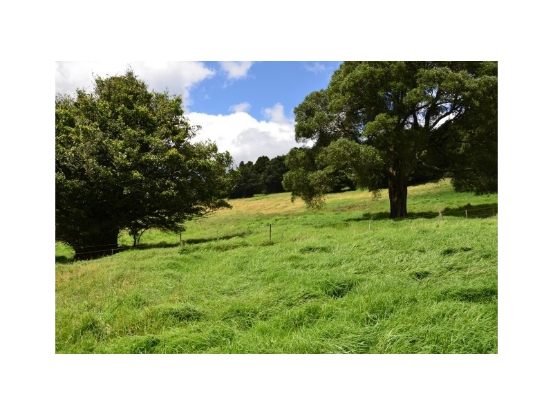 149 Belmore Falls Road (off South Street), Robertson NSW 2577