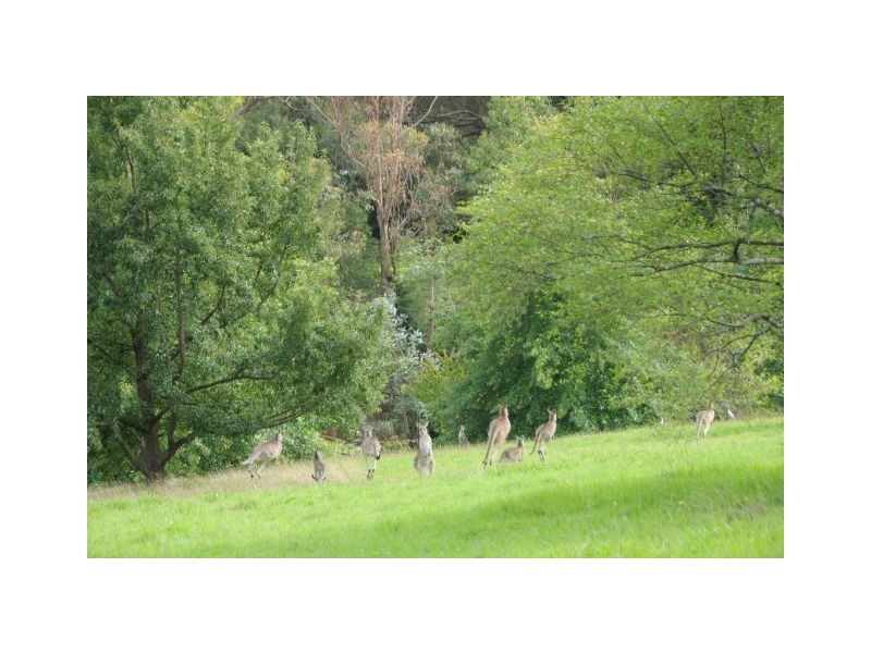 Bundanoon NSW 2578