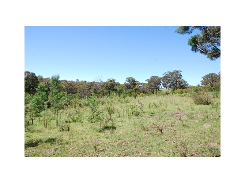 Lot 5 Joadja Road, Joadja NSW 2575