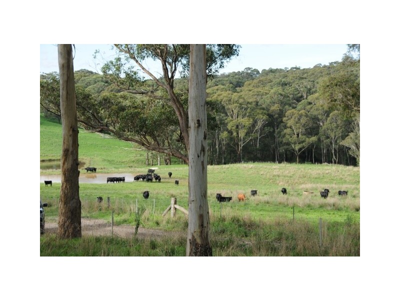 Ashby Park Nowra Road, Moss Vale NSW 2577