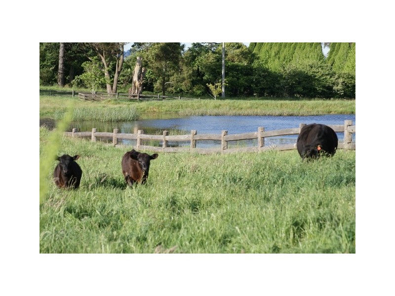 Ashby Park Nowra Road, Moss Vale NSW 2577