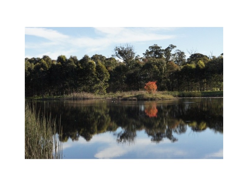 6485 Illawarra Highway, Moss Vale NSW 2577