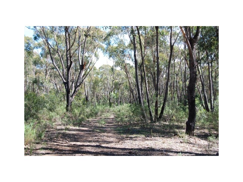LOT 1 Joadja Road, Joadja NSW 2575