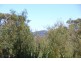 LOT 1 Joadja Road, Joadja NSW 2575