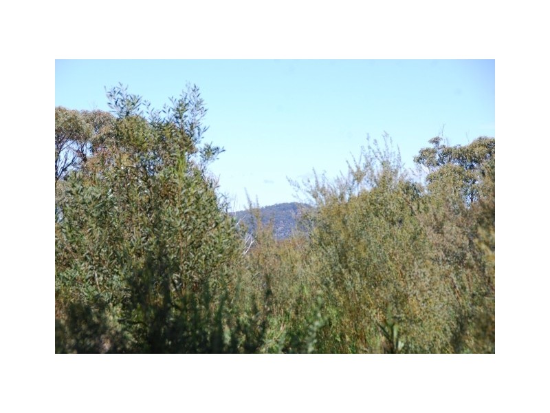 LOT 1 Joadja Road, Joadja NSW 2575