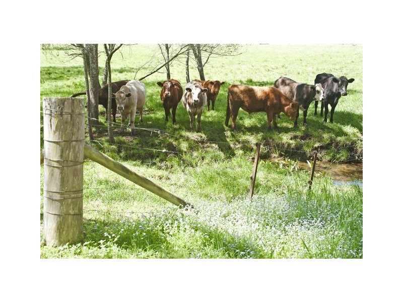 192 – 194 Werai Road, Exeter NSW 2579