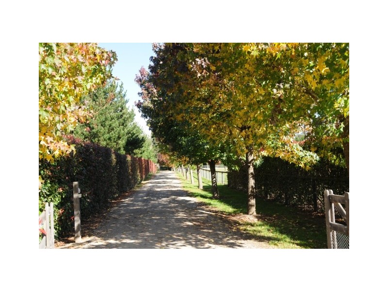 300 Iona Park Road, Moss Vale NSW 2577