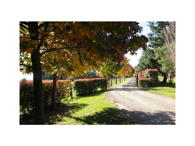 300 Iona Park Road, Moss Vale NSW 2577