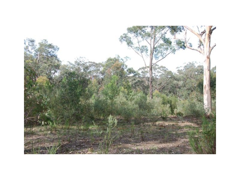 Lot 3 Joadja Road, Joadja NSW 2575