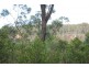 Lot 2 Joadja Road, Joadja NSW 2575
