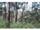 Lot 2 Joadja Road, Joadja NSW 2575