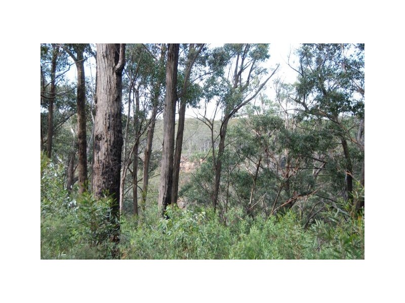 Lot 2 Joadja Road, Joadja NSW 2575