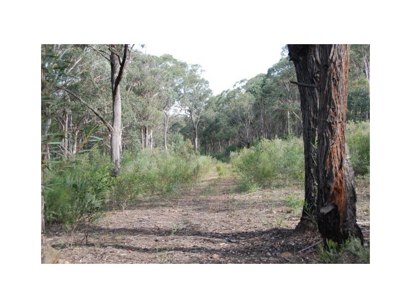 Lot 2 Joadja Road, Joadja NSW 2575