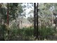 Lot 2 Joadja Road, Joadja NSW 2575
