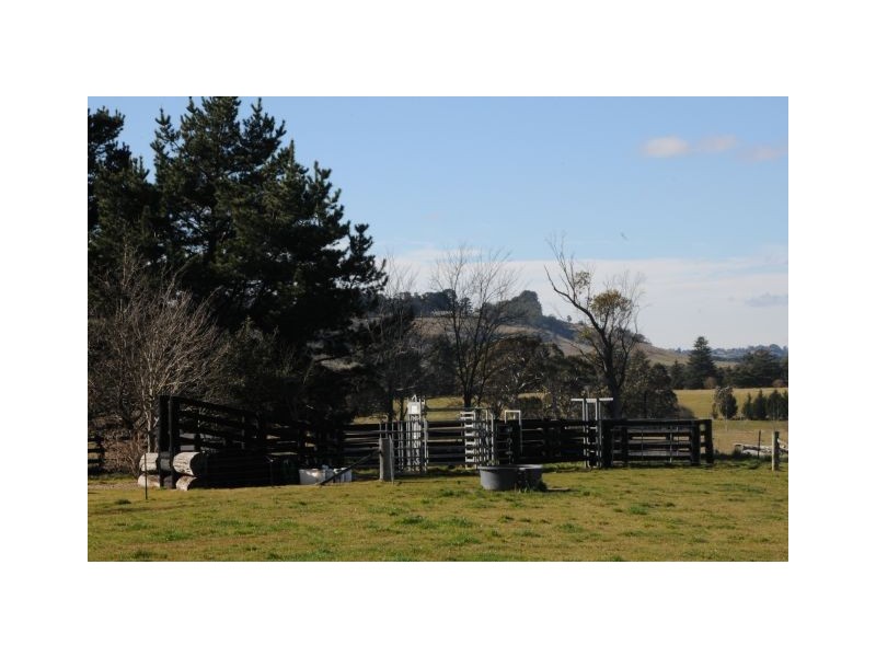 331 Golden Vale Road, Sutton Forest NSW 2577