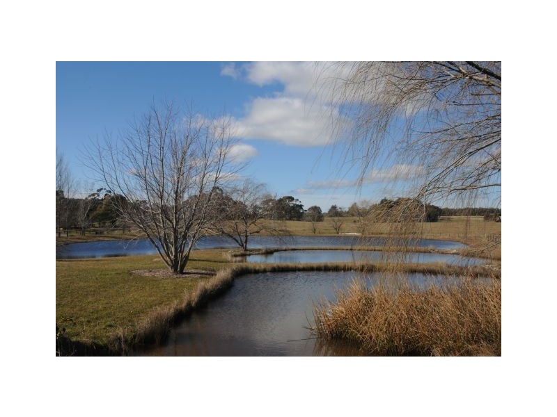 331 Golden Vale Road, Sutton Forest NSW 2577