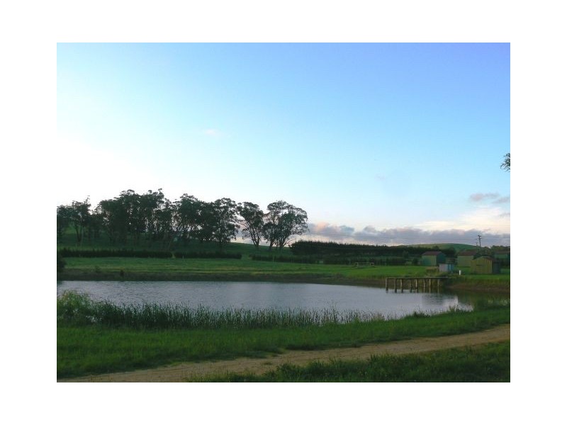 268 Yarrawa Road, Moss Vale NSW 2577