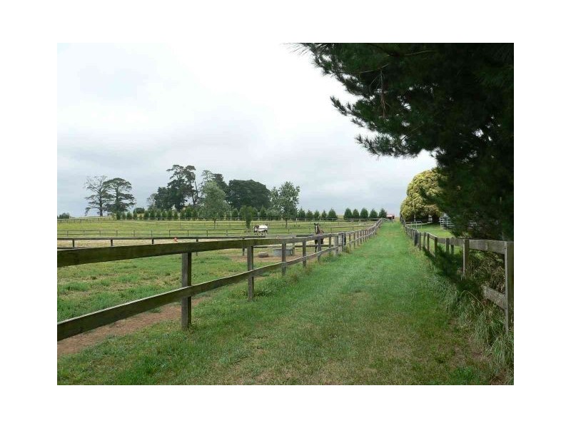 268 Yarrawa Road, Moss Vale NSW 2577