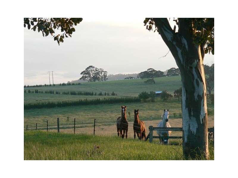268 Yarrawa Road, Moss Vale NSW 2577