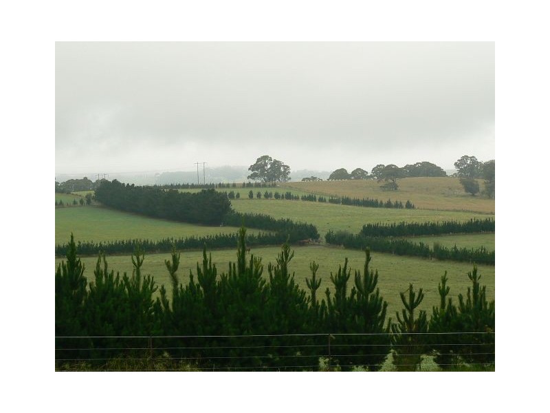 268 Yarrawa Road, Moss Vale NSW 2577