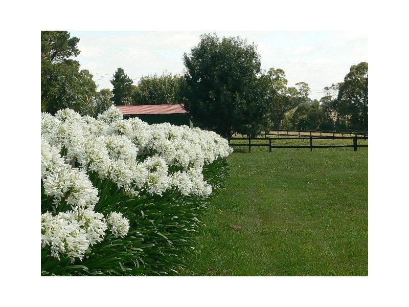 268 Yarrawa Road, Moss Vale NSW 2577