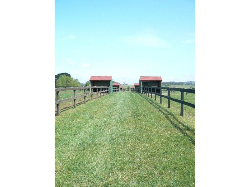 268 Yarrawa Road, Moss Vale NSW 2577